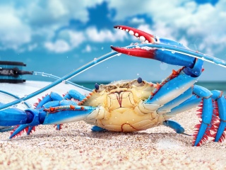 Обои Blue crab 320x240