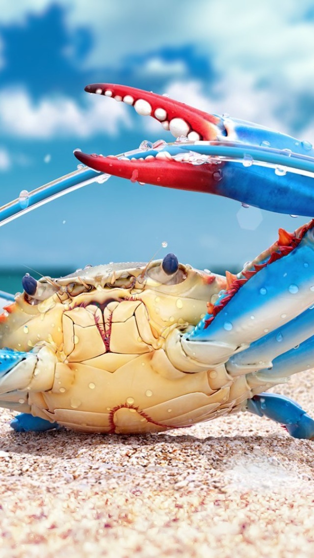 Blue crab screenshot #1 640x1136