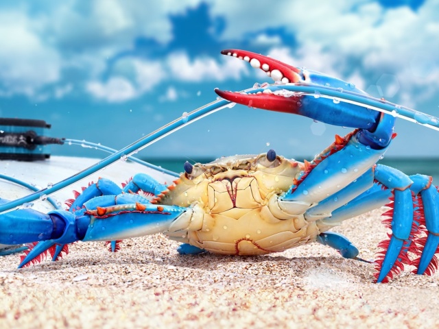 Fondo de pantalla Blue crab 640x480