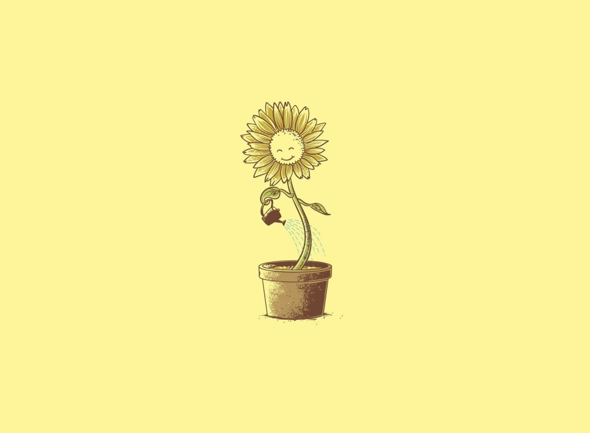 Flower In Pot screenshot #1 1920x1408