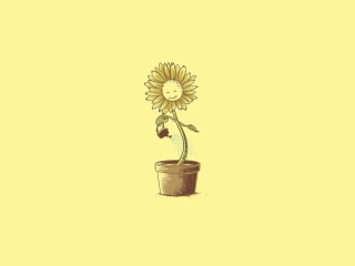 Das Flower In Pot Wallpaper 320x240