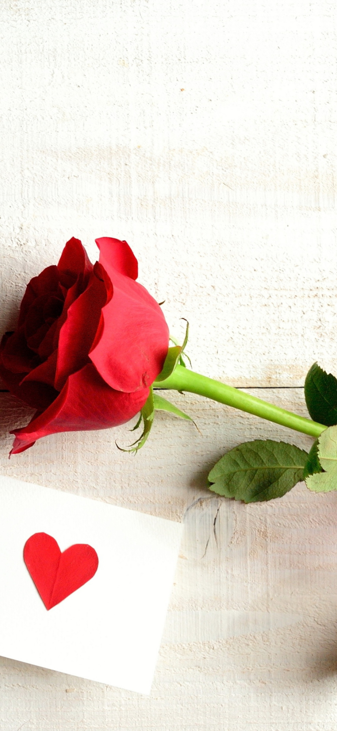 Rose With Letter wallpaper 1170x2532