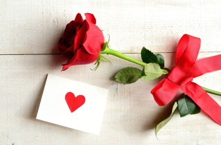 Free Rose With Letter Picture for Android, iPhone and iPad