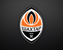Das FC Shakhtar Donetsk Wallpaper 220x176
