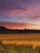 Sfondi Russian River Valley California 132x176