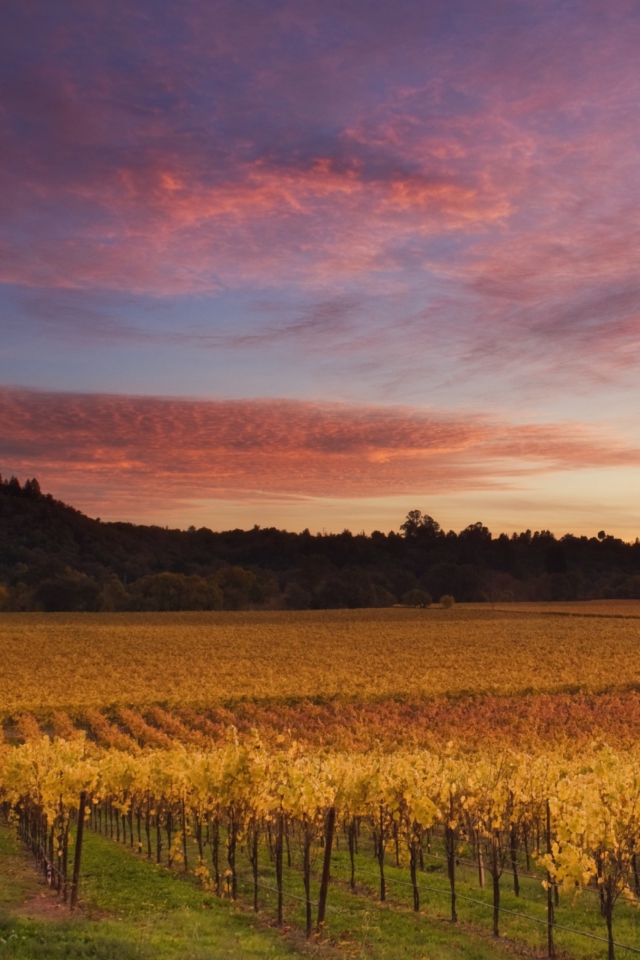 Das Russian River Valley California Wallpaper 640x960