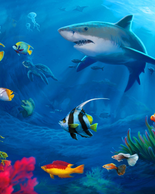 Shark in Perth, Western Australia - Fondos de pantalla gratis para Samsung S3650W Corby