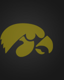 Das Iowa Hawkeyes Wallpaper 128x160