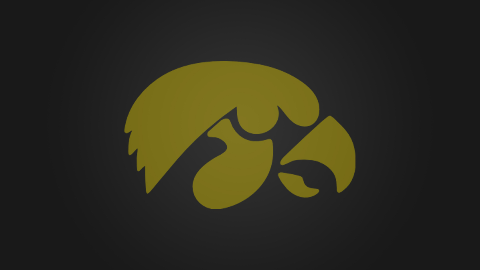 Das Iowa Hawkeyes Wallpaper 1920x1080