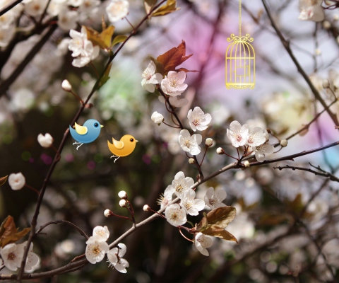 Welcome Spring screenshot #1 480x400