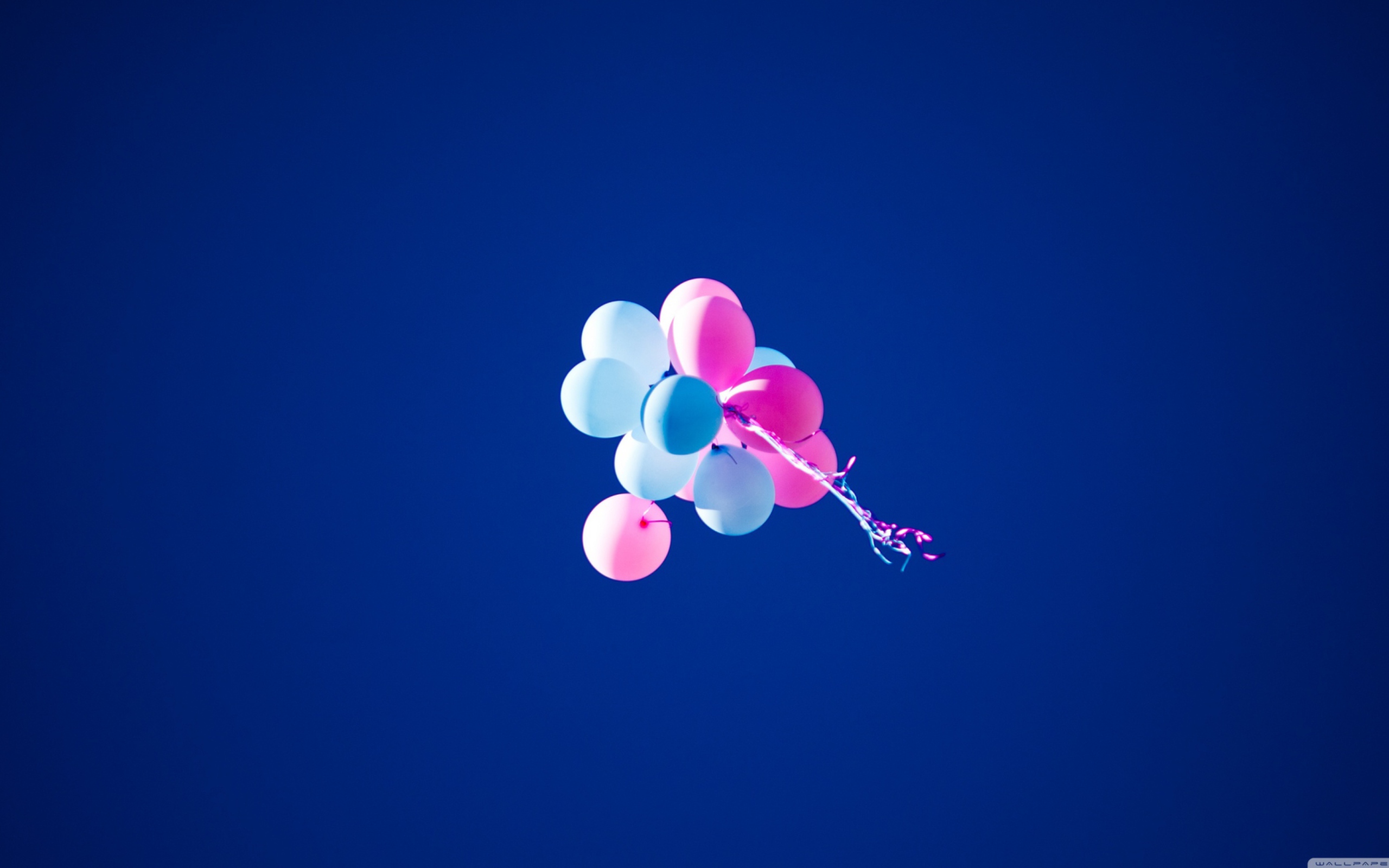 Fondo de pantalla Lost Balloons 2560x1600