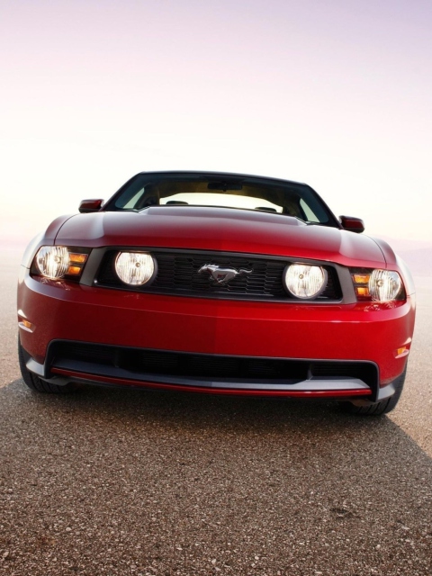 Screenshot №1 pro téma Ford Mustang 480x640