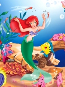 Das Little Mermaid Wallpaper 132x176