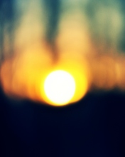 Blurred Sunset screenshot #1 176x220