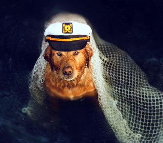 Captain Dog sfondi gratuiti per iPad mini