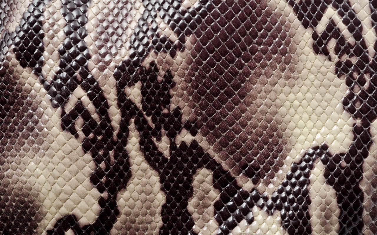 Snake Skin wallpaper 1280x800
