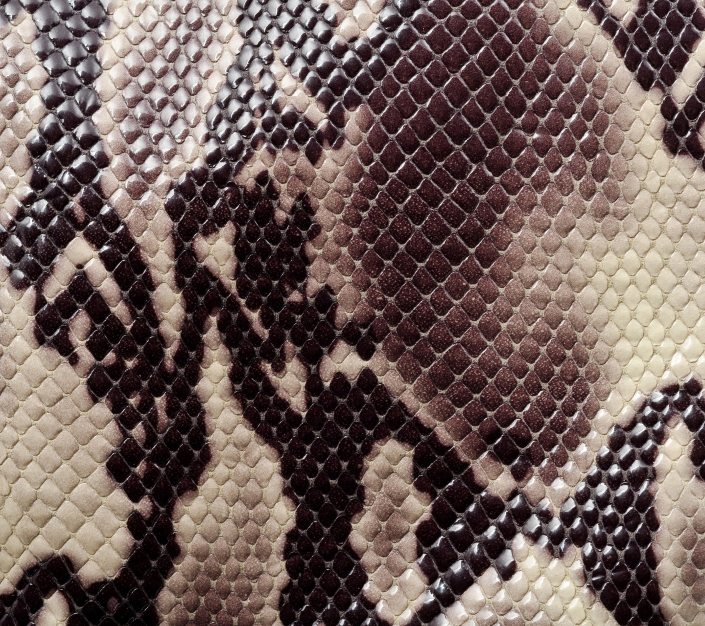 Snake Skin wallpaper 1440x1280