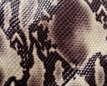 Snake Skin wallpaper 220x176