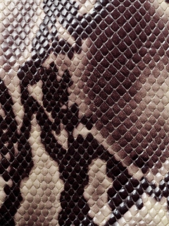 Snake Skin wallpaper 240x320