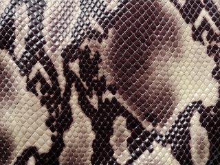 Das Snake Skin Wallpaper 320x240