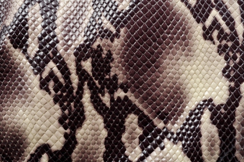 Das Snake Skin Wallpaper 480x320