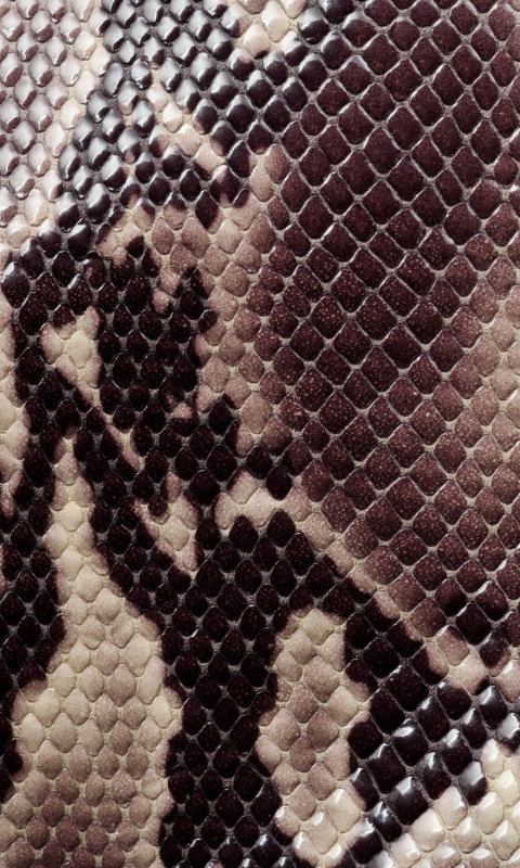 Das Snake Skin Wallpaper 480x800