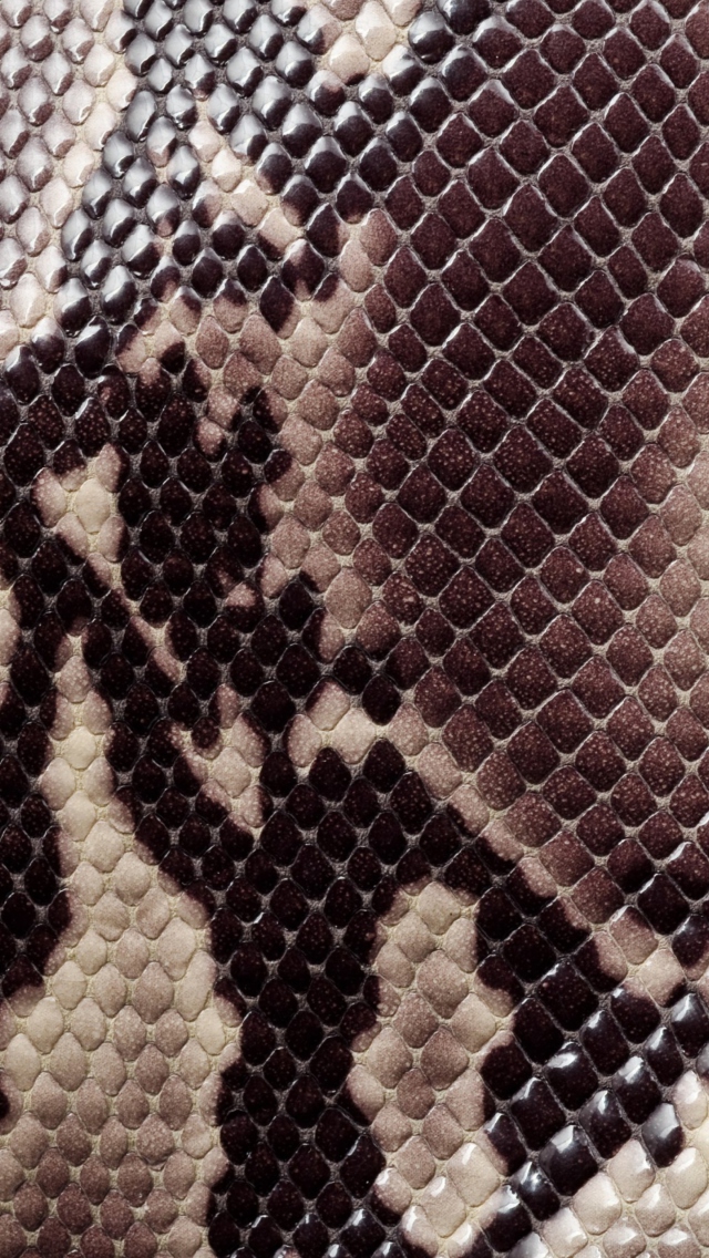 Sfondi Snake Skin 640x1136