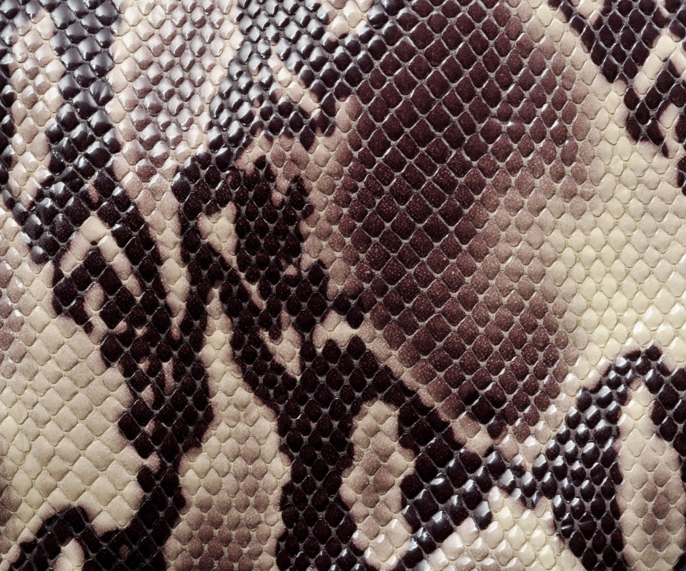 Snake Skin wallpaper 960x800