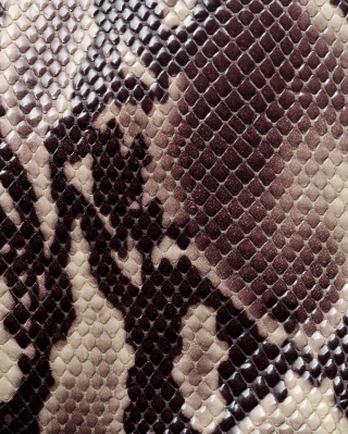 Snake Skin - Obrázkek zdarma pro iPhone 5S