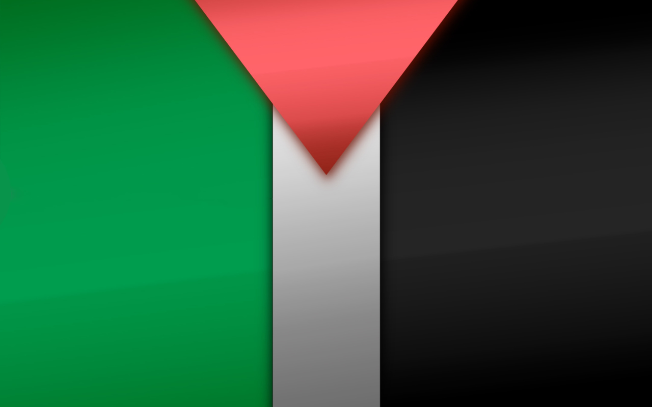 Обои Palestinian flag 1280x800