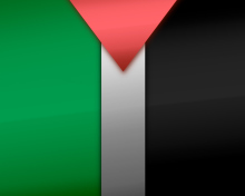 Sfondi Palestinian flag 220x176