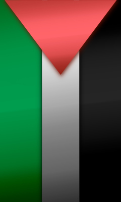 Fondo de pantalla Palestinian flag 240x400