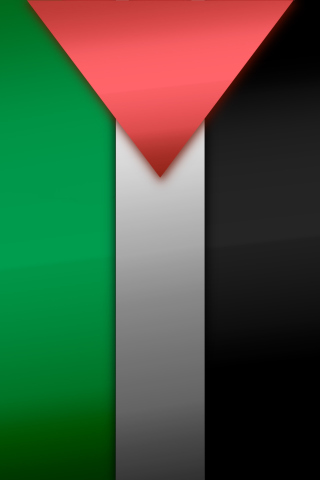 Обои Palestinian flag 320x480