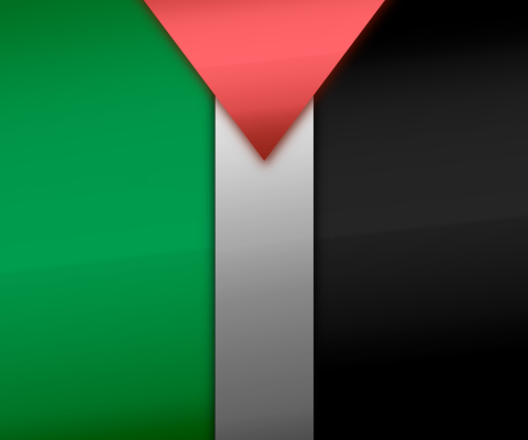Обои Palestinian flag 480x400