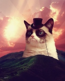 Fondo de pantalla Grumpy Cat 128x160