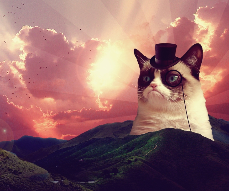 Fondo de pantalla Grumpy Cat 960x800