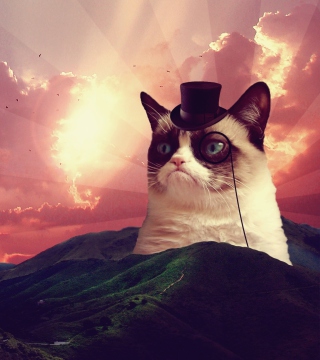 Kostenloses Grumpy Cat Wallpaper für 208x208