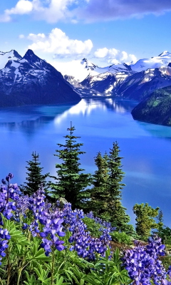 Mountain Lake screenshot #1 240x400