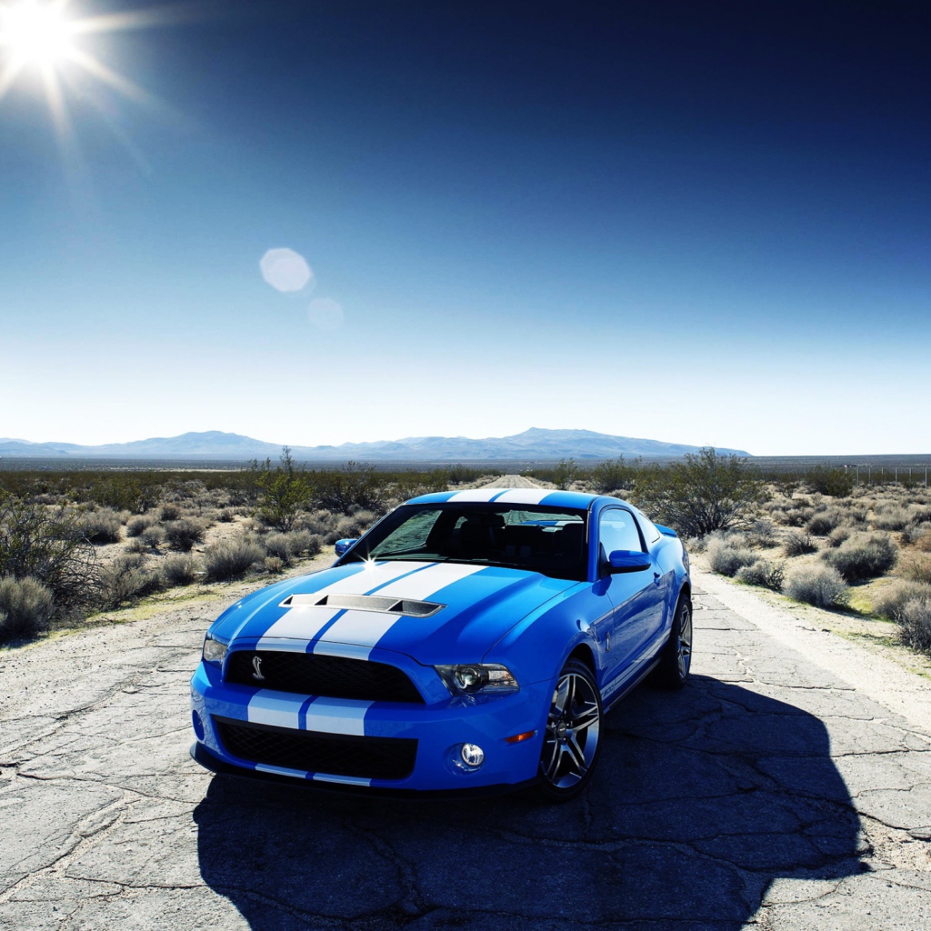 Ford Shelby Gt500 wallpaper 1024x1024