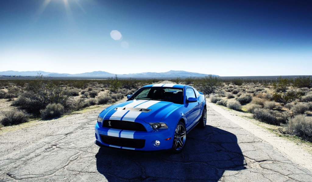 Ford Shelby Gt500 wallpaper 1024x600