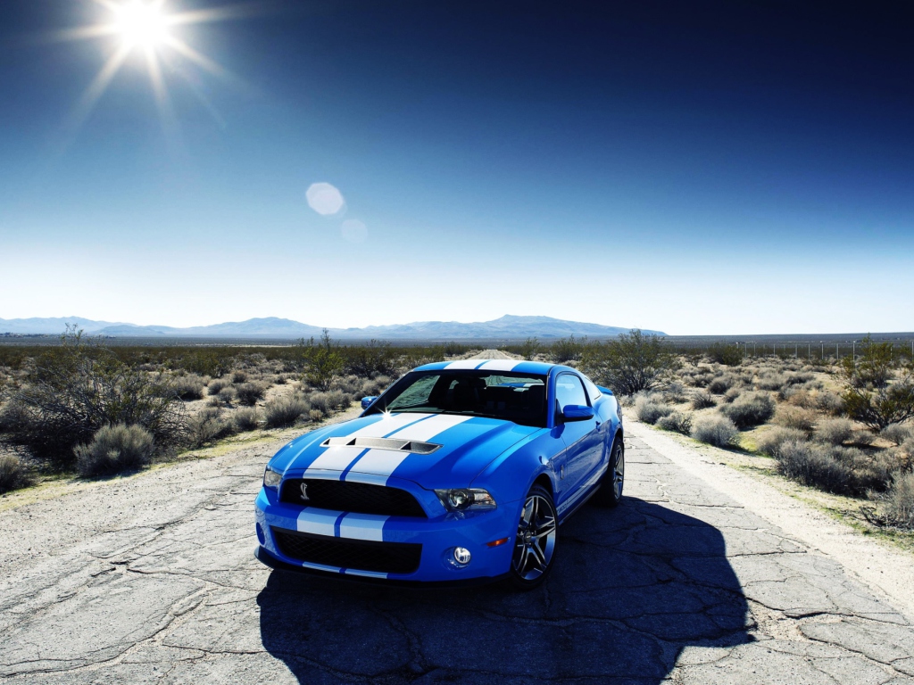 Ford Shelby Gt500 wallpaper 1024x768