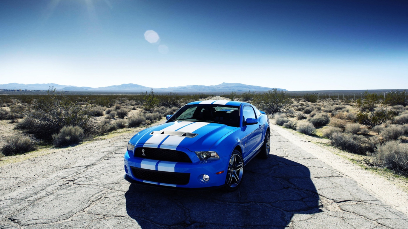 Screenshot №1 pro téma Ford Shelby Gt500 1366x768