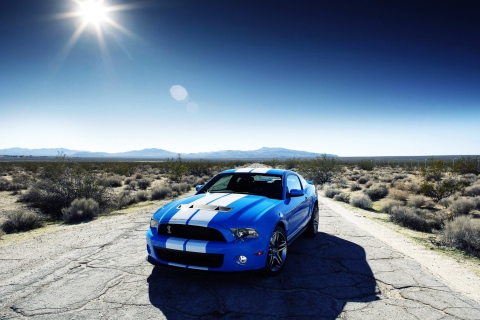 Ford Shelby Gt500 wallpaper 480x320