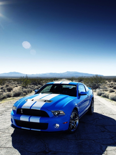Обои Ford Shelby Gt500 480x640