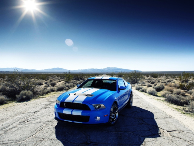 Das Ford Shelby Gt500 Wallpaper 640x480