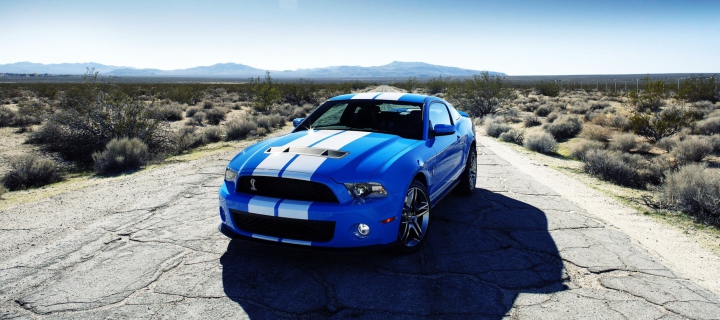 Обои Ford Shelby Gt500 720x320
