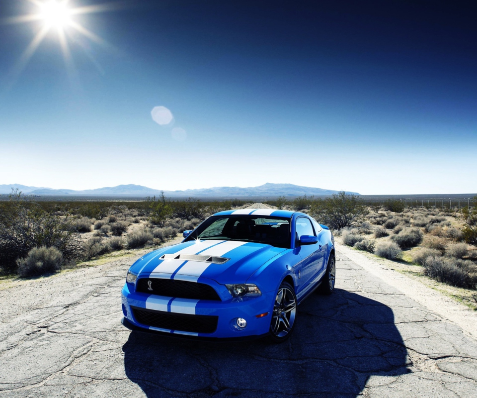 Das Ford Shelby Gt500 Wallpaper 960x800