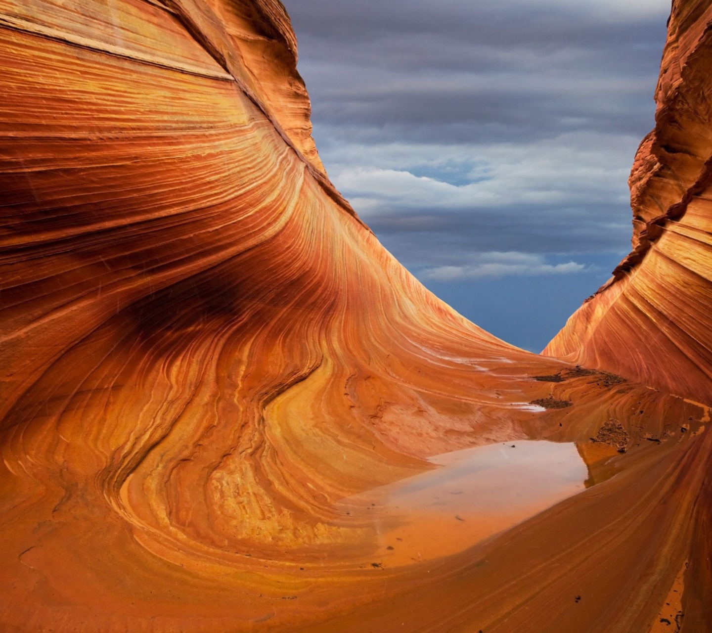 Grand Canyon wallpaper 1440x1280