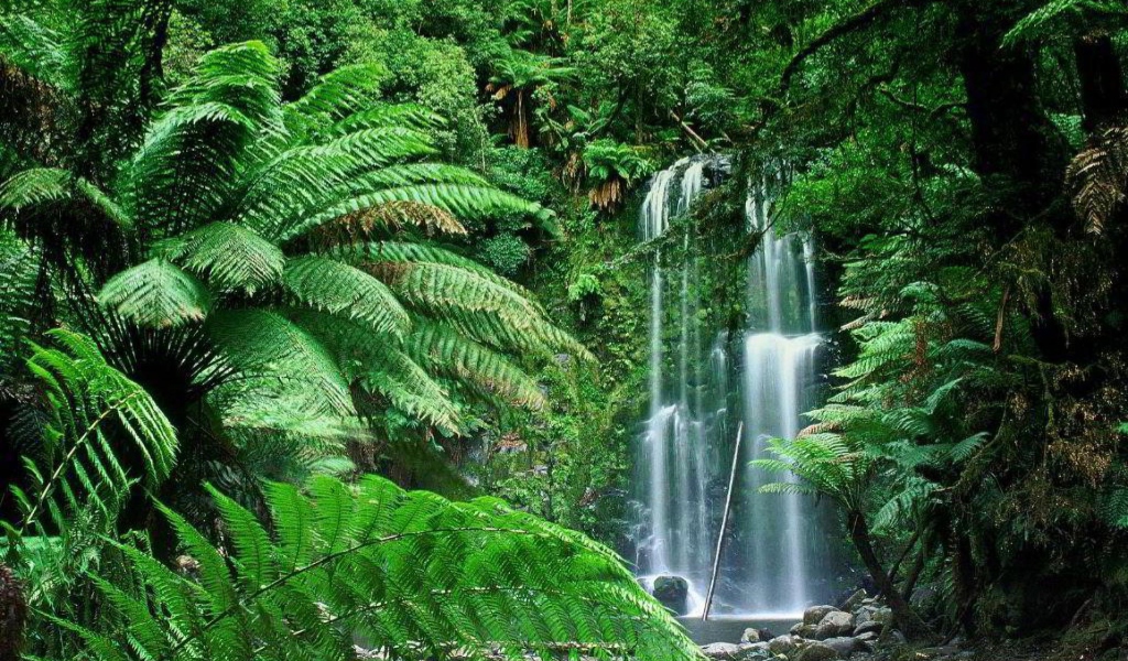 Screenshot №1 pro téma Tropical Forest Waterfall 1024x600