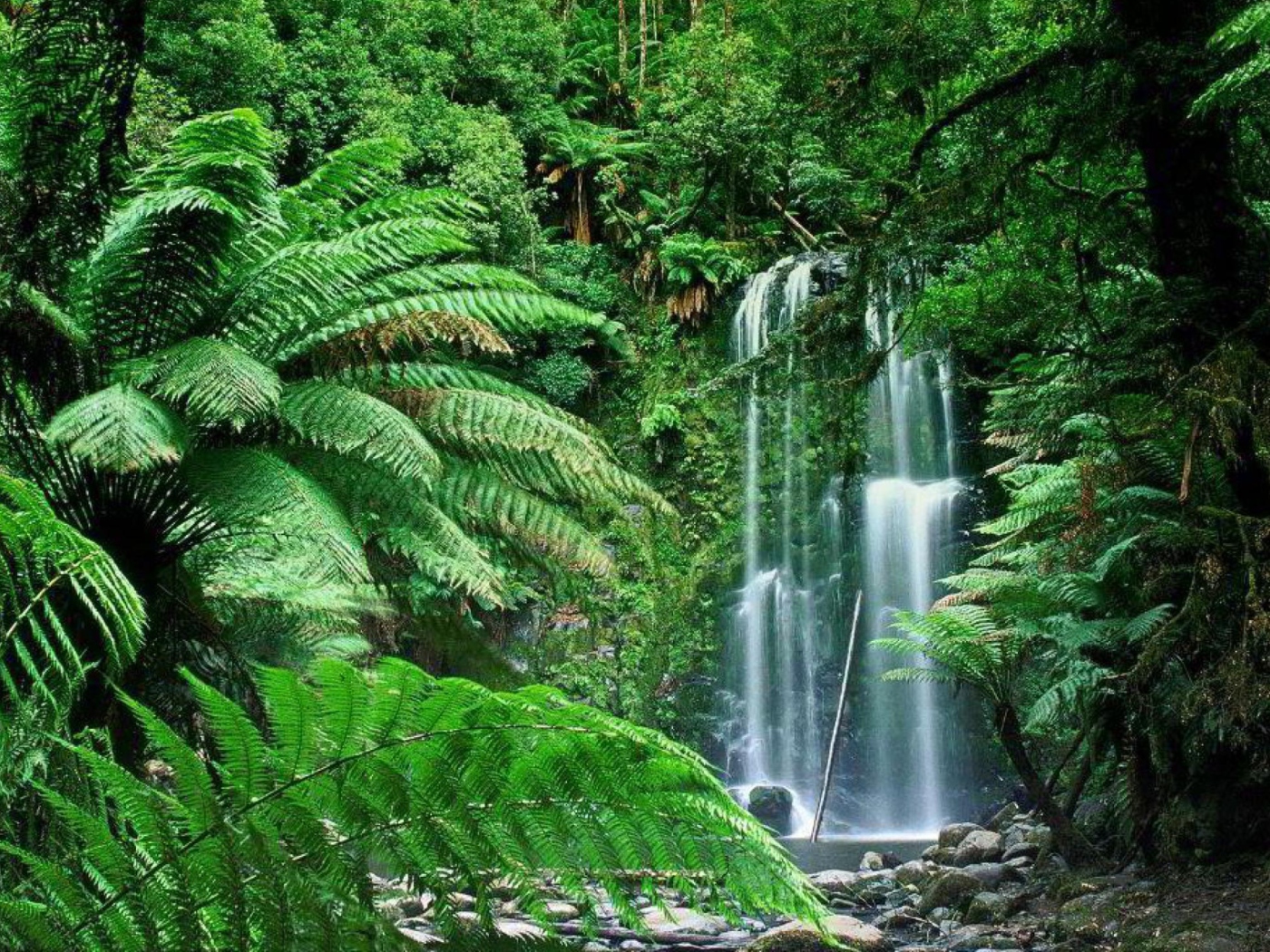 Fondo de pantalla Tropical Forest Waterfall 1400x1050